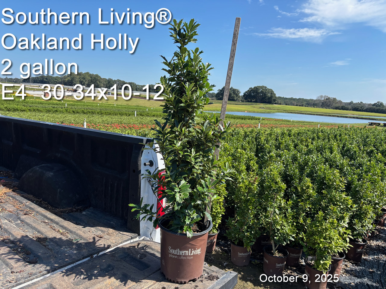 gallery/sliol2 e4 oct9.jpg